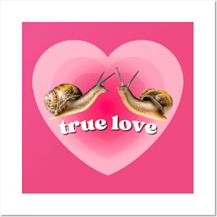 Pink Heart Two Snails in True Love. Funny Weird Gift for Snail Lovers Posters and Art